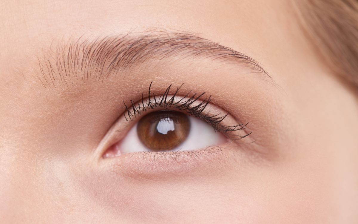 Laminado de cejas: el efecto peinado que dura semanas